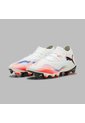 Array de Puma