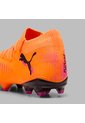 Array de Puma
