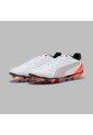 Array de Puma