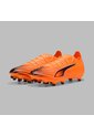Array de Puma