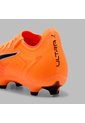 Array de Puma