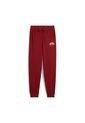 Pantalon Deportivo Puma Original Squad Tr G Rojo Para Niños de Puma