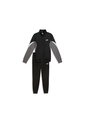 SUDADERA PUMA HOMBRE 691767 01 SUD. Talla S de Puma
