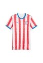 Camiseta Deportiva Puma Original Paraguay Home Blanco Hombre de Puma