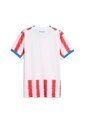 Camiseta Deportiva Puma Original Paraguay Home Blanco Hombre de Puma