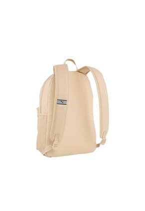 Morral Puma Phase