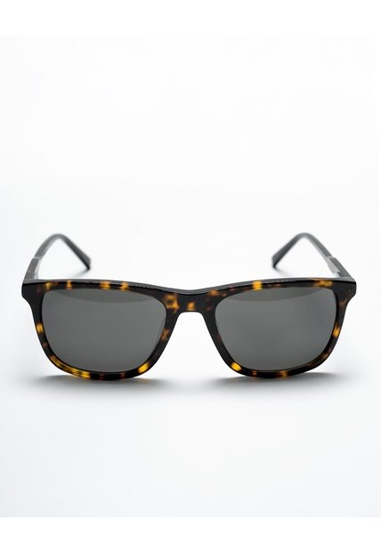 Gafas De Sol Café