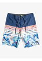 Pantaloneta Quiksilver Everyday Swell Vision 20