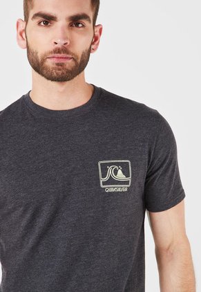 Camiseta Gris-Beige Quiksilver