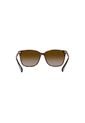 Gafas De Sol Ralph Vvcv RA5293 Habana Mujer de Ralph Lauren