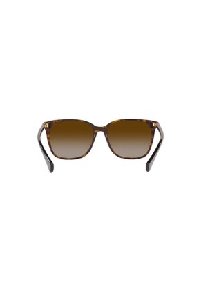 Gafas De Sol Ralph Vvcv RA5293 Habana Mujer