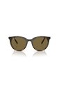 Gafas De Sol Ray-Ban RB4383 Marrón Mujer de Ray-Ban