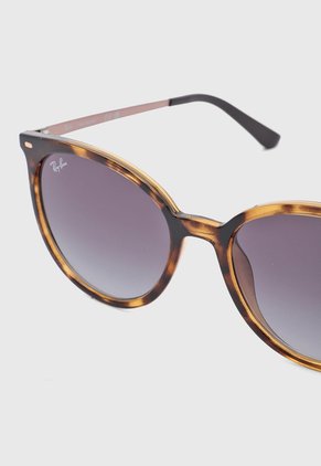 Gafas de Sol Ray-Ban Havana