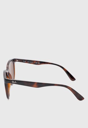 Gafas de Sol Ray-Ban Havana
