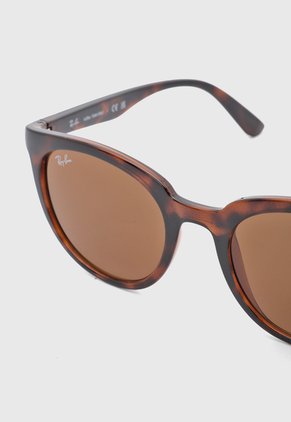 Gafas de Sol Ray-Ban Havana