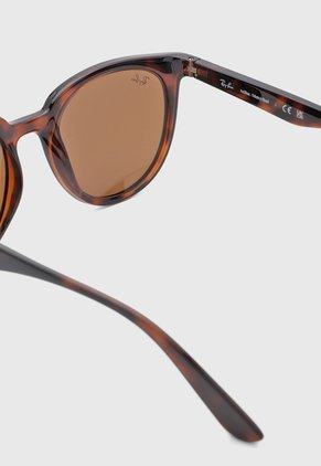 Gafas de Sol Ray-Ban Havana