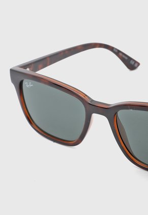 Gafas de Sol Ray-Ban Havana