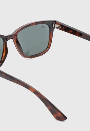 Gafas de Sol Ray-Ban Havana