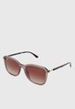 Gafas de Sol Ray-Ban Café Transparente de Ray-Ban