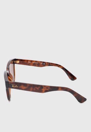 Gafas de Sol Ray-Ban Havana