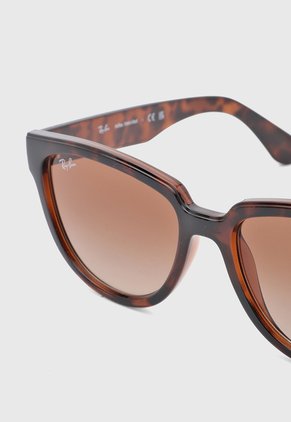 Gafas de Sol Ray-Ban Havana