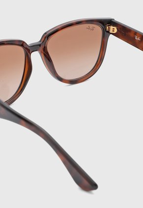 Gafas de Sol Ray-Ban Havana