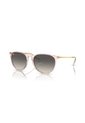 Gafas De Sol Ray-Ban Erika RB4171 Rosa Mujer de Ray-Ban
