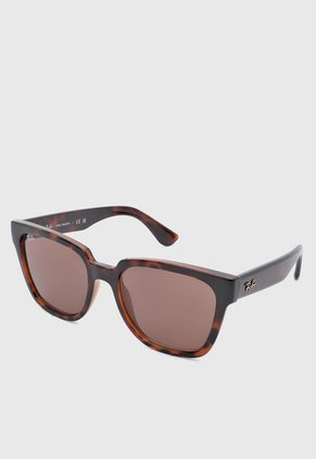 Gafas de Sol Ray-Ban Havana