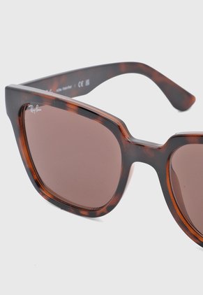 Gafas de Sol Ray-Ban Havana
