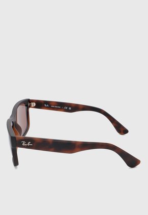 Gafas de Sol Ray-Ban Havana