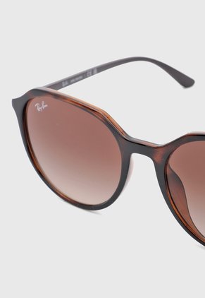 Gafas de Sol Ray-Ban Havana