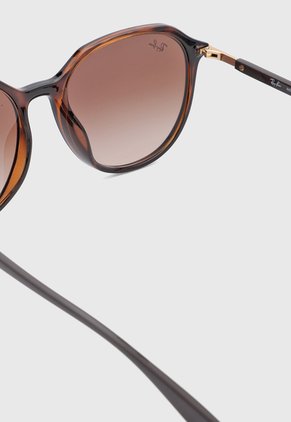 Gafas de Sol Ray-Ban Havana