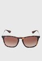 Gafas de Sol Ray-Ban Chris Havana de Ray-Ban