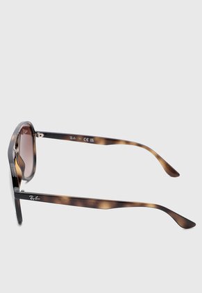 Gafas de Sol Ray-Ban Havana