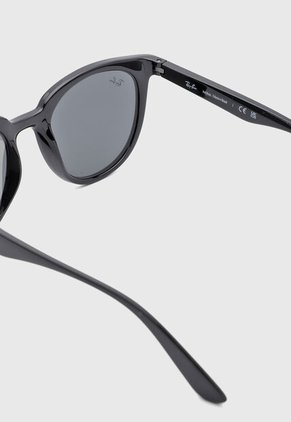 Gafas de Sol Ray-Ban Negro