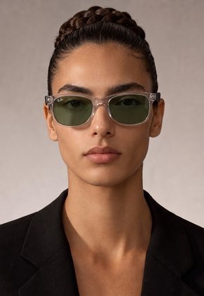Gafas de Sol Ray-Ban New Wayfarer Negro