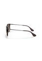Gafas De Sol Ray-Ban Chris RB4187 Café Hombre Y Mujer de Ray-Ban