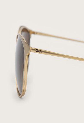 Gafas Dorado-Marrón Ray Ban Erika Metal