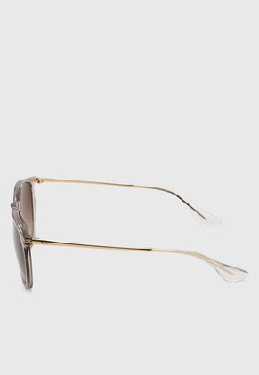 Gafas de Sol Ray-Ban Erika Transparente Marrón