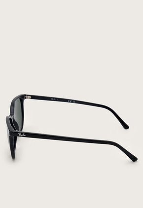 Gafas Negro Ray-Ban Elliot RB2197