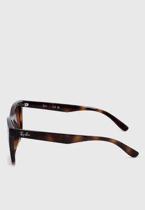 Gafas de Sol Marrón-Café Ray-Ban
