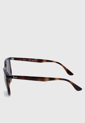Gafas de Sol Ray-Ban Havana