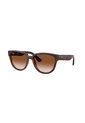 Gafas De Sol Ray-Ban RB4463L RB4463 Marrón Mujer de Ray-Ban