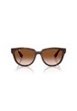 Gafas De Sol Ray-Ban RB4463L RB4463 Marrón Mujer de Ray-Ban