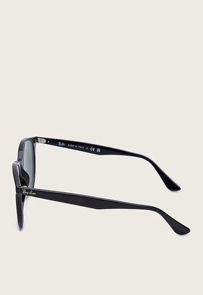Gafas Negro-Plateado Ray-Ban RB4305