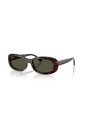 Gafas De Sol Ray-Ban RB2221 Habana Mujer de Ray-Ban