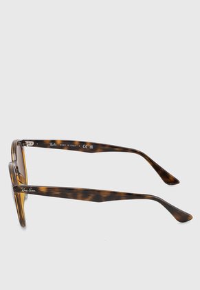 Gafas de Sol Marrón Ray-Ban