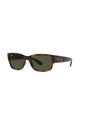 Gafas De Sol Ray-Ban RB4388 Habana Hombre Y Mujer de Ray-Ban