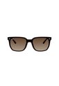 Gafas De Sol Ray-Ban RB4466D RB4466 Marrón Hombre Y Mujer de Ray-Ban