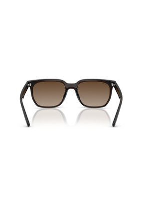 Gafas De Sol Ray-Ban RB4466D RB4466 Marrón Hombre Y Mujer
